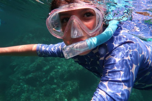 Guided Snorkeling Experience by boat (all levels)